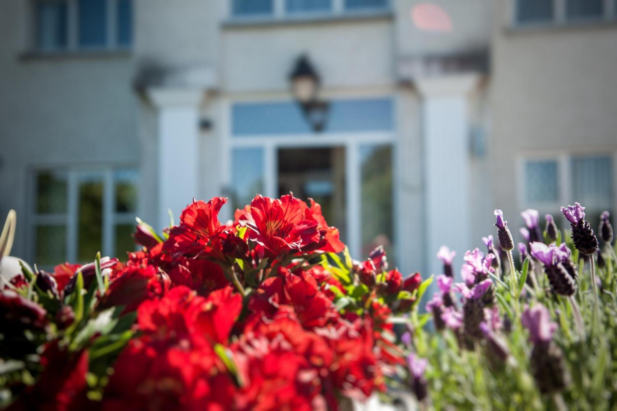 Grove House Bed & Breakfast Карлингфорд Экстерьер фото